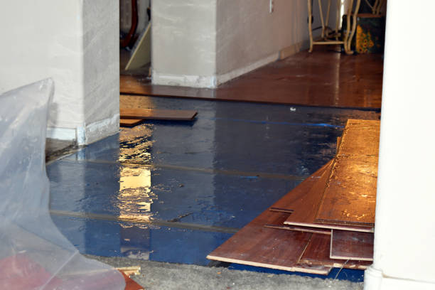 Professional Water Damage Restoration technician working in Mitchellville, IA